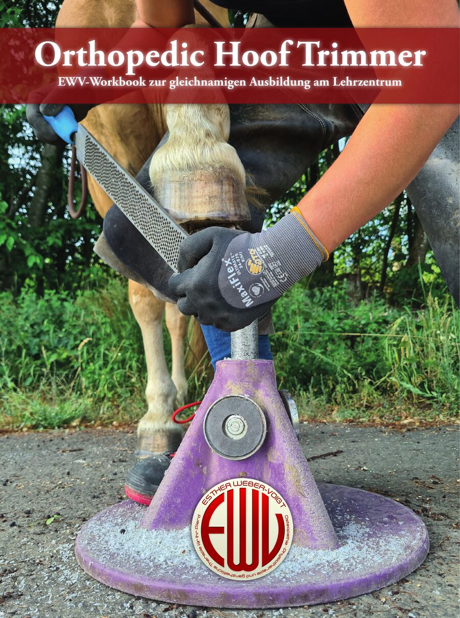 Umschlag Workbook OHT_DRUCK.pdf