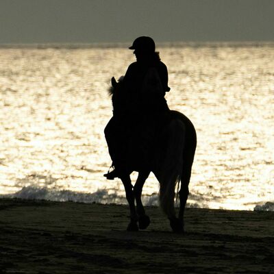 Reiter:in am Strand