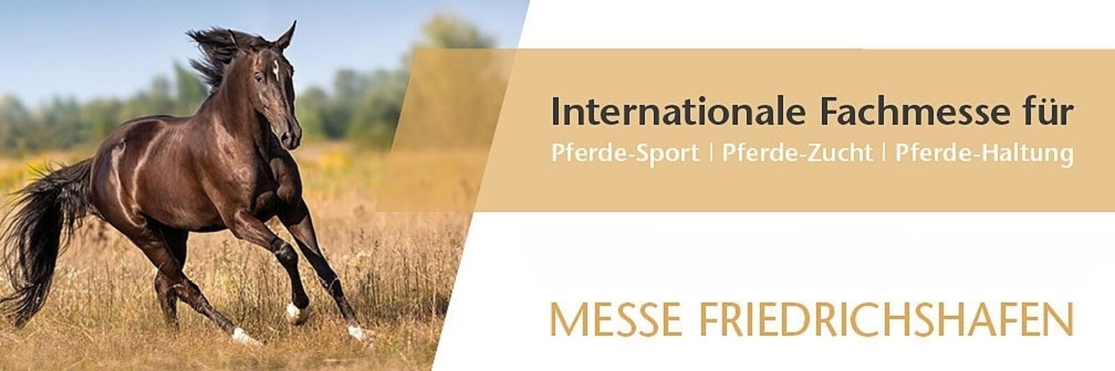 Messe news.jpg