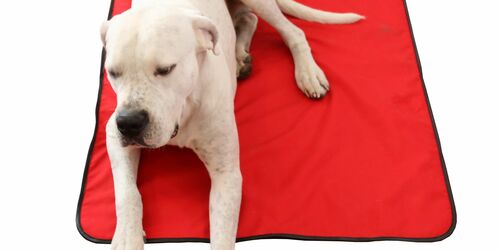 BIOS Hundedecke