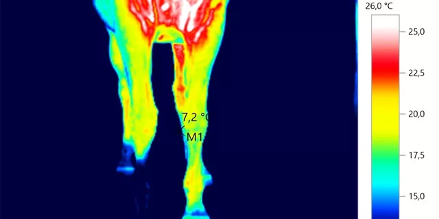 Thermografie EWV.jpg Thermografie EWV.jpg