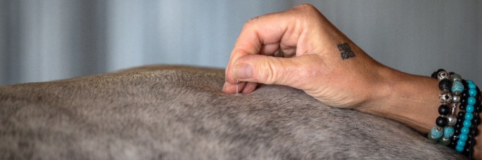 Bild Webinare 2022.jpg