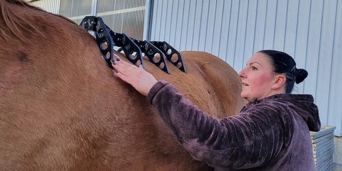 Saddlefitter 2a.jpg