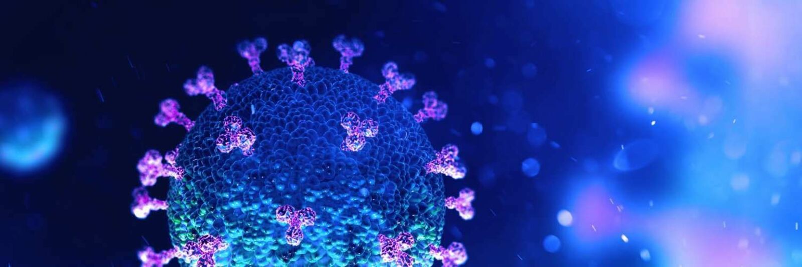 Coronavirus