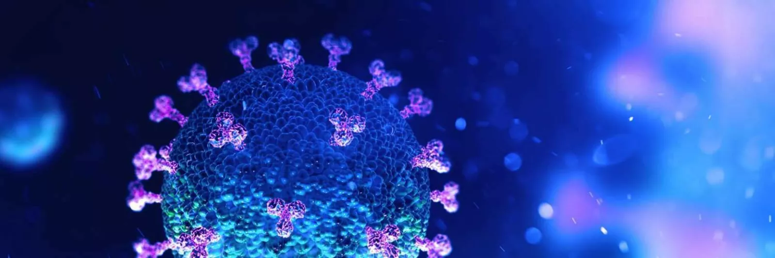 Coronavirus Coronavirus