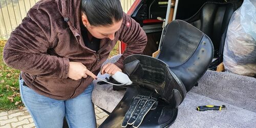 Saddlefitter a.jpg
