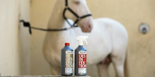 Horse Care Set Bionic Desinfektion & Bionic Regeneration Schädliche Zellen wirkungsvoll zerstören & Freie Radikale neutralisieren