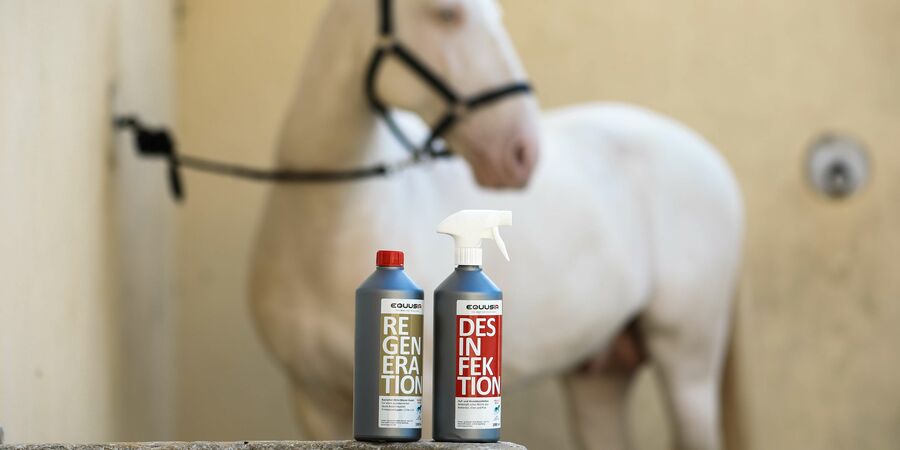 Horse Care Set Bionic Desinfektion & Bionic Regeneration Schädliche Zellen wirkungsvoll zerstören & Freie Radikale neutralisieren