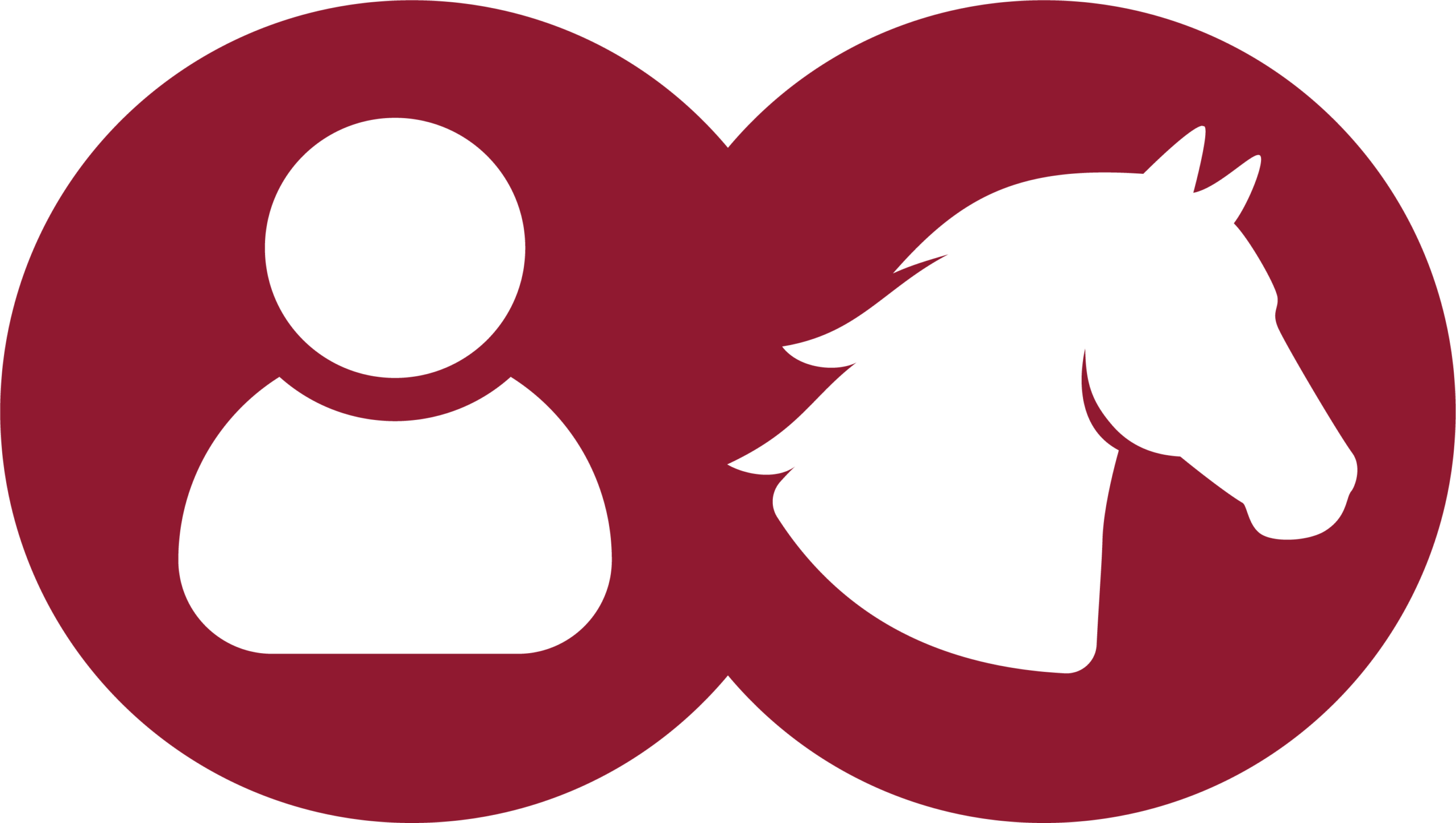 EWV-Icon-Human-Pferd