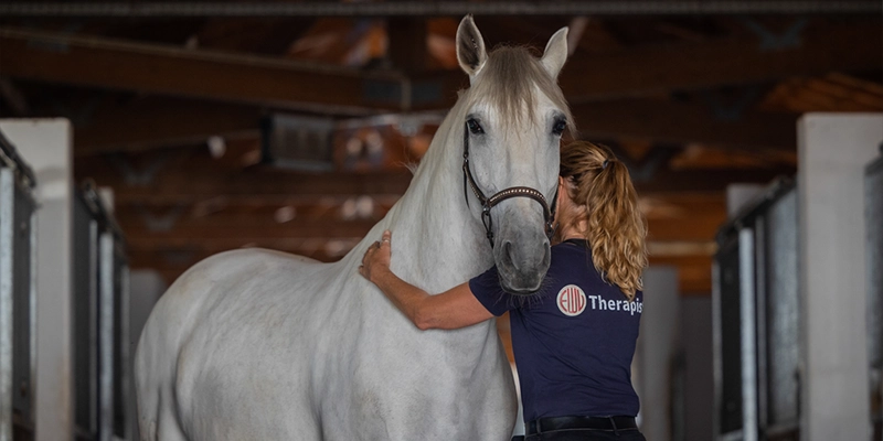 Freies-Lehrzentrum-EWV-Esther-Weber-Voigt-Coaching-Angebote-Persönlichkeitsentwicklung-Pferdegestütztes-Coaching-Teambuilding-Pferd