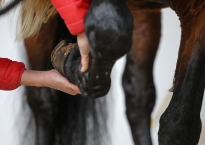 01. Mai 2026 in 92364 Deining: Viszerale Osteopathie