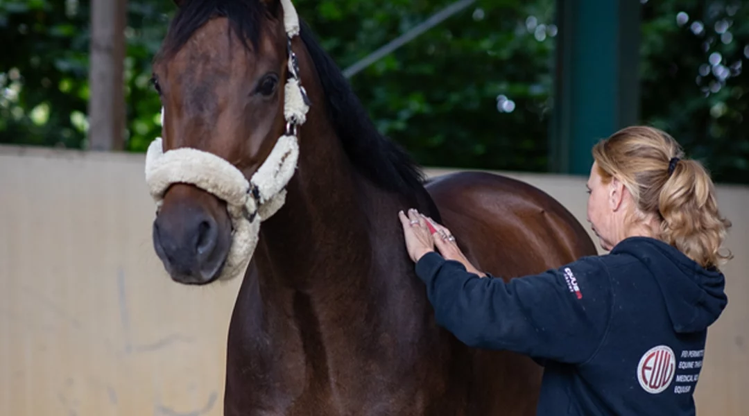 10. Juni 2026: Versicherungen für Therapeuten