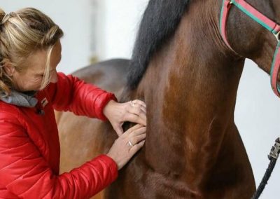 17. Oktober 2026 in 92364 Deining: Manuelle Lymphdrainage