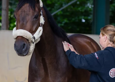 10. Juni 2026: Versicherungen für Therapeuten