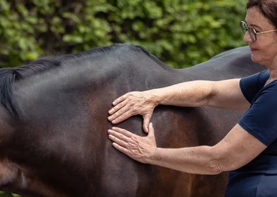 20.06., 27.06. + 12.09.2026: Hands-On Advanced Practice Gesamte Fortbildung