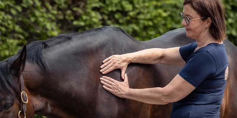 Freies-Lehrzentrum-EWV-Esther-Weber-Voigt-Team-Header