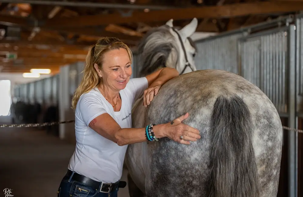 Freies-Lehrzentrum-EWV-Esther-Weber-Voigt-Ausbildungen-Weiterbildungen-Pferdephysiotherapeut-Pferdeosteopath-Therapie-Pferd-About