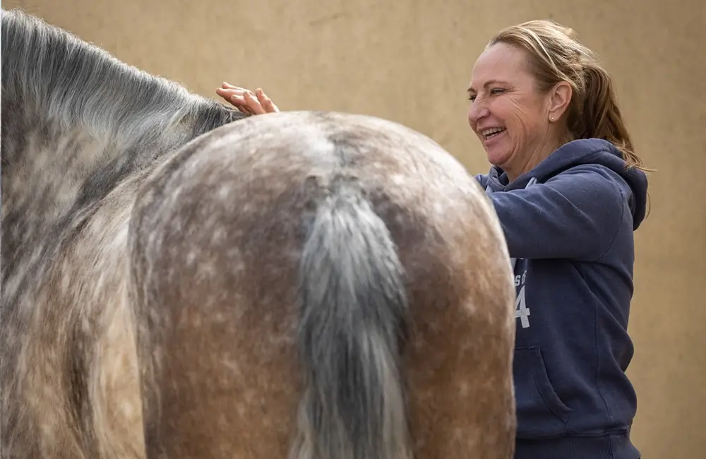 Freies-Lehrzentrum-EWV-Esther-Weber-Voigt-Ausbildungen-Weiterbildungen-Pferdephysiotherapeut-Pferdeosteopath-Therapie-Pferd-About