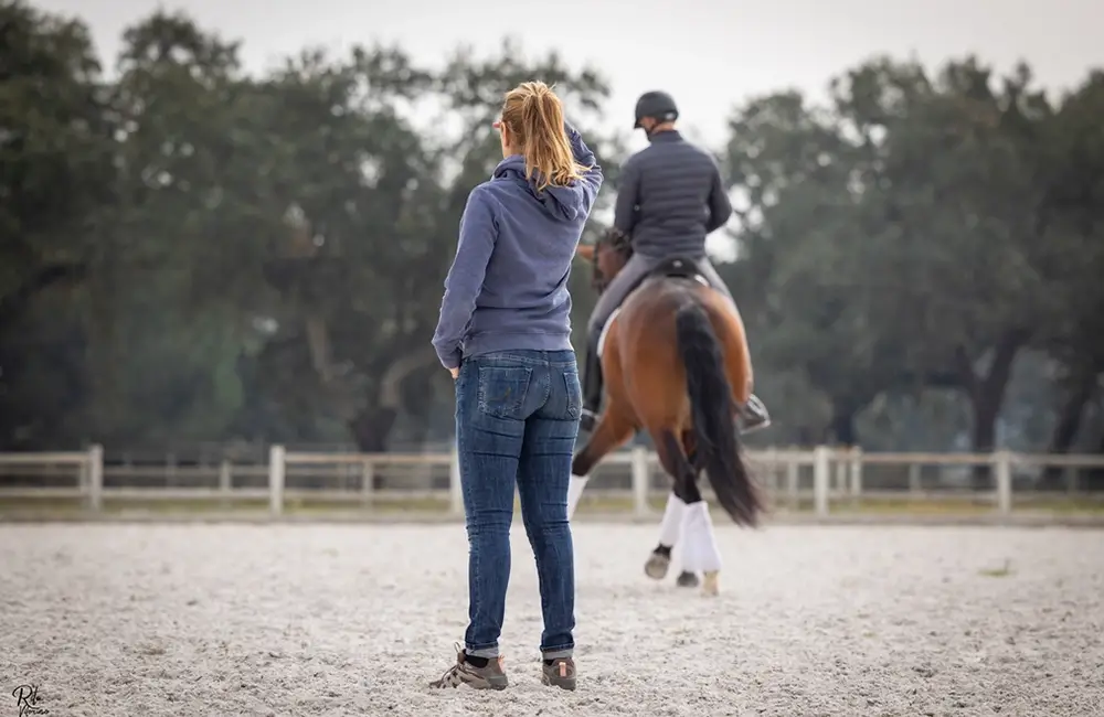 Freies-Lehrzentrum-EWV-Esther-Weber-Voigt-Ausbildungen-Weiterbildungen-Pferdephysiotherapeut-Pferdeosteopath-Therapie-Pferd-About