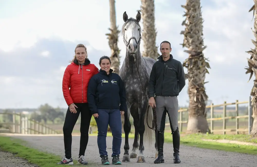 Freies-Lehrzentrum-EWV-Esther-Weber-Voigt-Ausbildungen-Weiterbildungen-Pferdephysiotherapeut-Pferdeosteopath-Therapie-Pferd-About