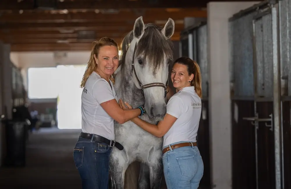 Freies-Lehrzentrum-EWV-Esther-Weber-Voigt-Ausbildungen-Weiterbildungen-Pferdephysiotherapeut-Pferdeosteopath-Therapie-Pferd-About