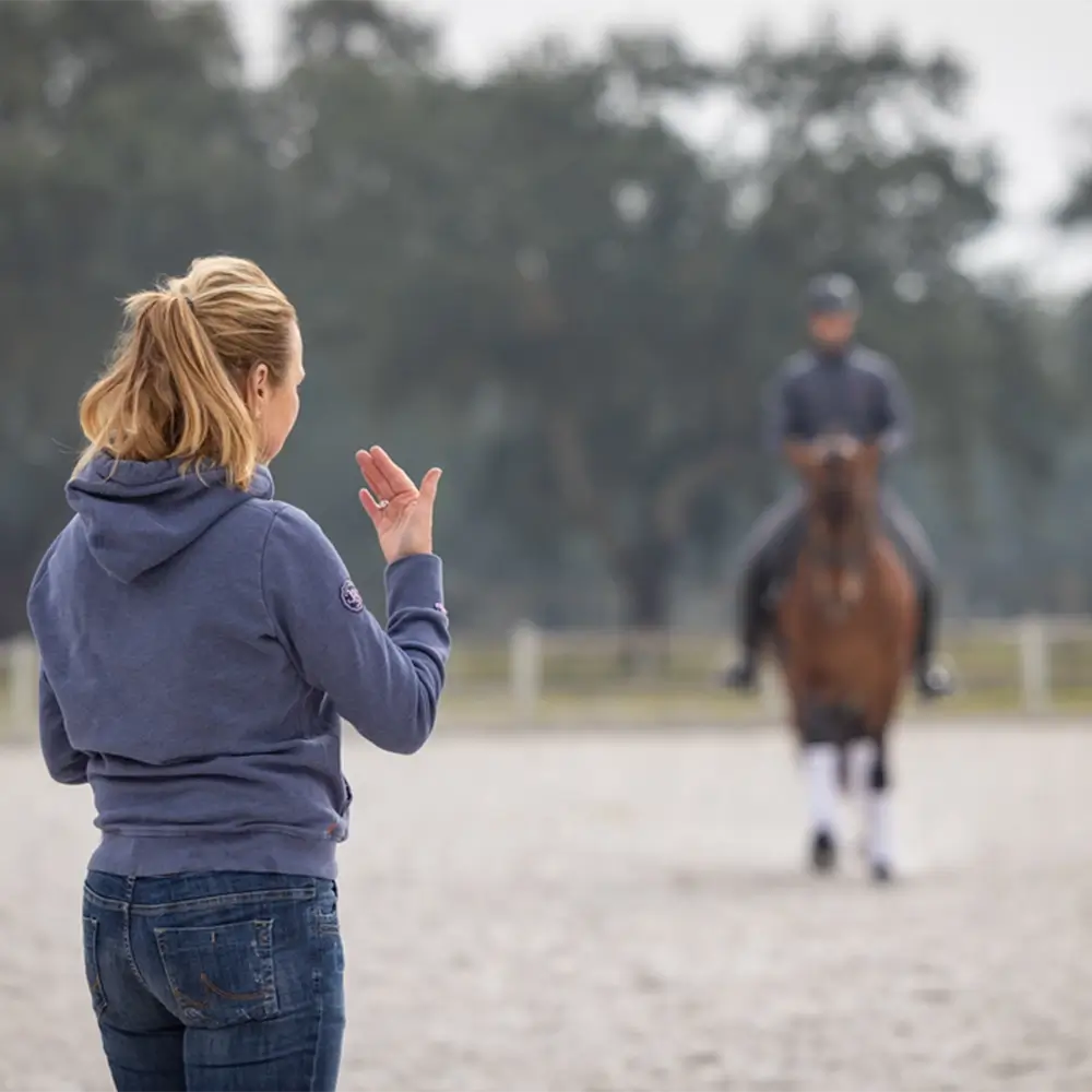 Freies-Lehrzentrum-EWV-Esther-Weber-Voigt-Pferdetraining-Reitunterricht-Pferderehatrainer-Pferdeausbildung