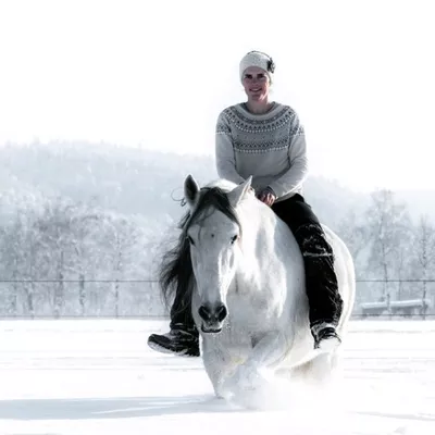 Freies-Lehrzentrum-EWV-Esther-Weber-Voigt-Team-Dozenten-EvelineWettmer