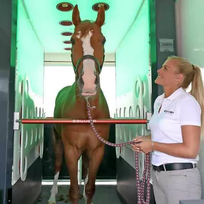 Freies-Lehrzentrum-EWV-Esther-Weber-Voigt-Team-Dozenten-LisaMedyeri