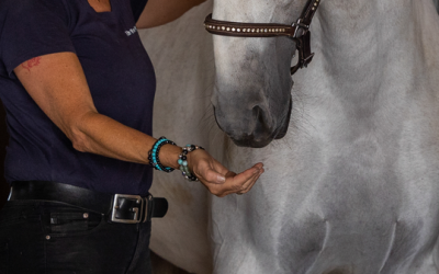 13. Juni 2026 in 68229 Mannheim