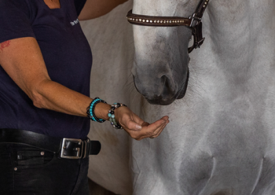 13. Juni 2026 in 68229 Mannheim: Atemwegserkrankungen – Praxis für Therapeuten