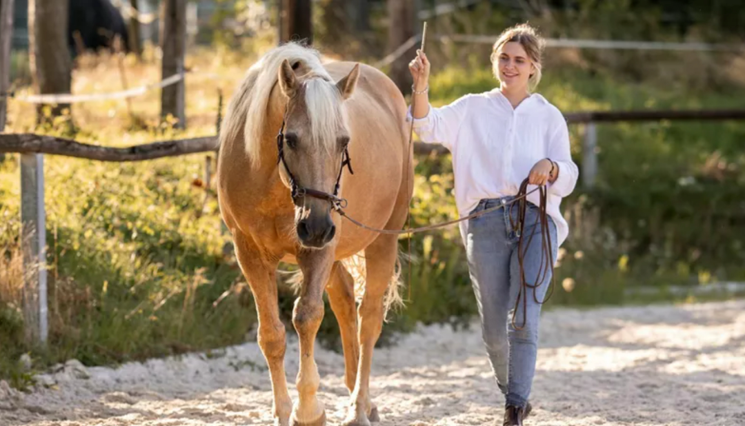16. Mai 2026 in 64367 Mühltal: Arbeit am Boden, gesund bewegt vom Boden
