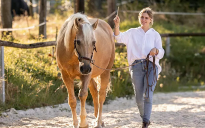 16. Mai 2026 in 64367 Mühltal