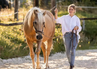 16. Mai 2026 in 64367 Mühltal: Arbeit am Boden, gesund bewegt vom Boden