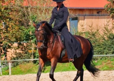 17. + 18. Oktober 2026 in 69190 Walldorf: Therapeutische Trainingslehre