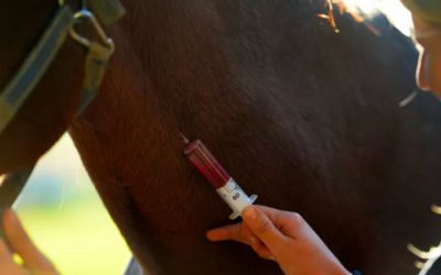 Online, jederzeit buchbar