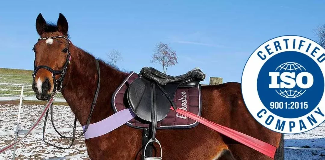 Staatlich anerkannt und ISO 9001 zertifiziert