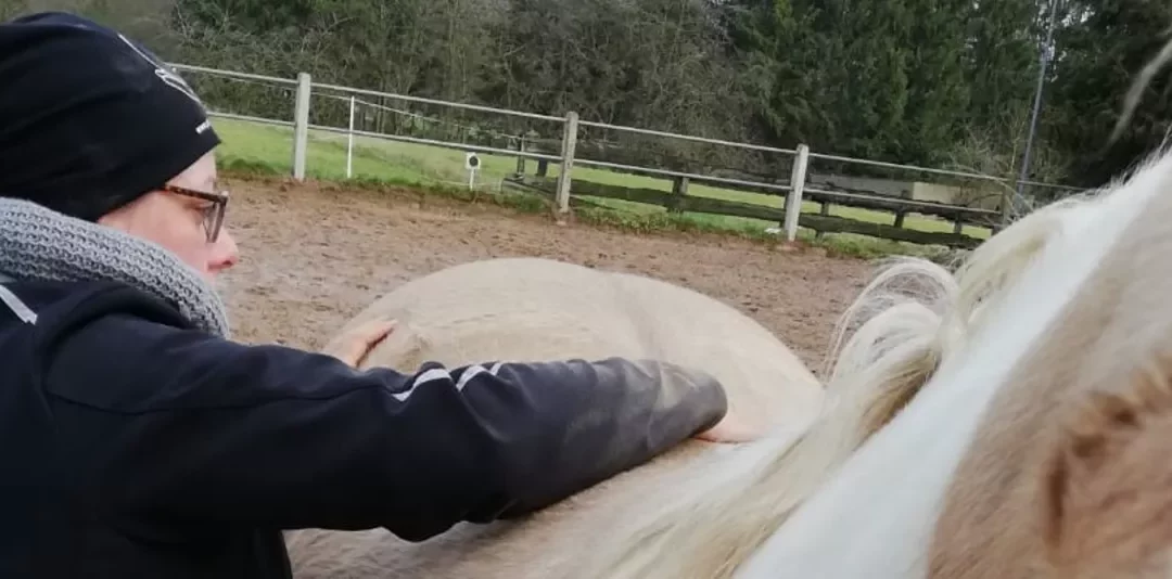 Fortbildungen bei EWV – es gibt noch freie Plätze