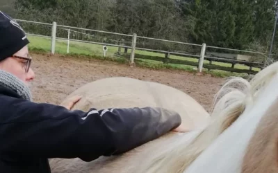 Fortbildungen bei EWV – es gibt noch freie Plätze