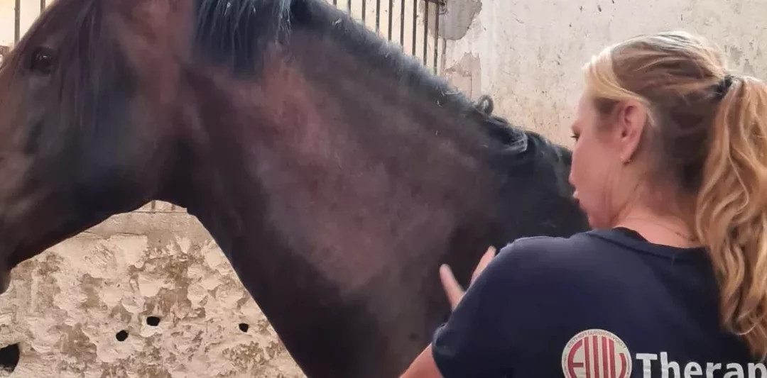 Neues aus Deutschland