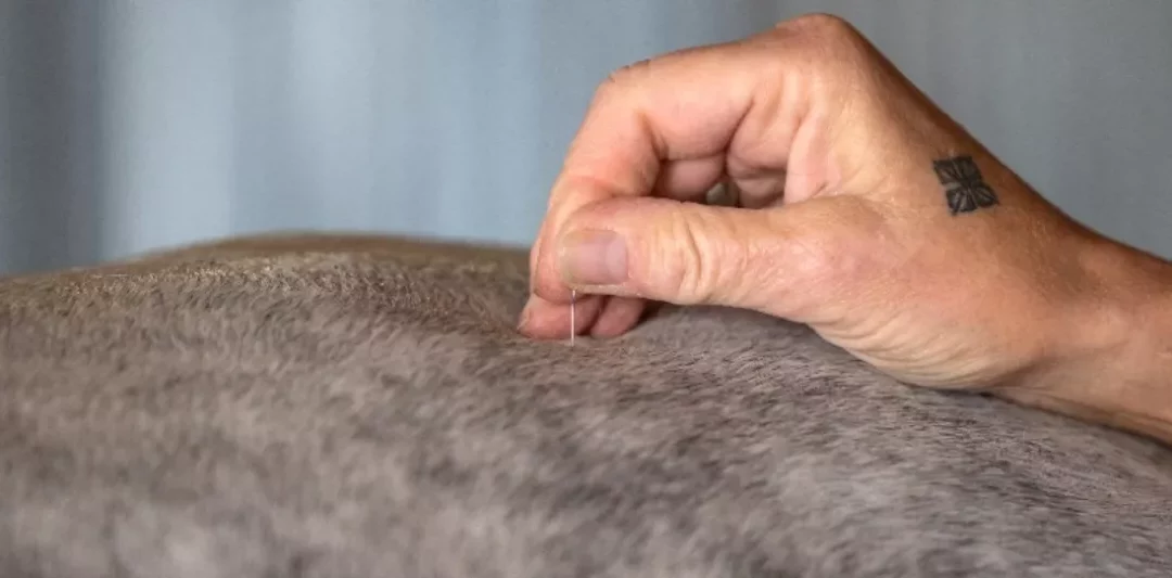 Webinare und Fortbildungen bei EWV 2022