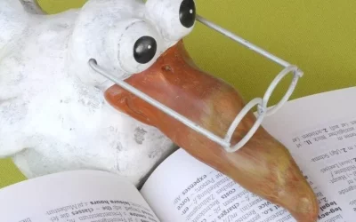 Unsere Dozenten stellen sich vor