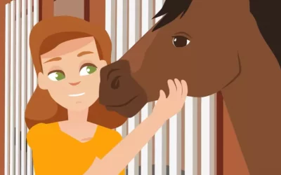 JETZT ANMELDEN – Neue Ausbildungen