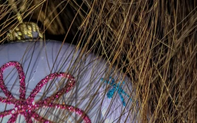 Merry Christmas wünscht EWV