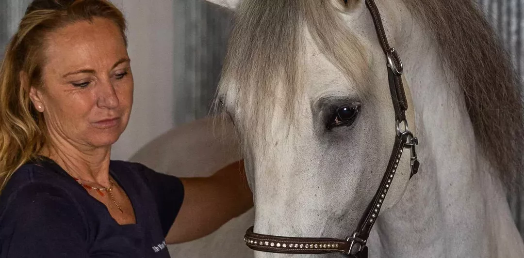 2023 neigt sich dem Ende und 2024 steht schon in den Startlöchern