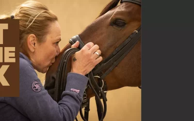 Out of the Box – der EWV Podcast