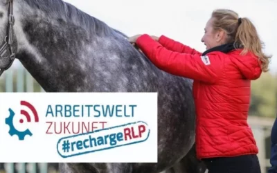 QualiCheck Förderprogramm bei EWV