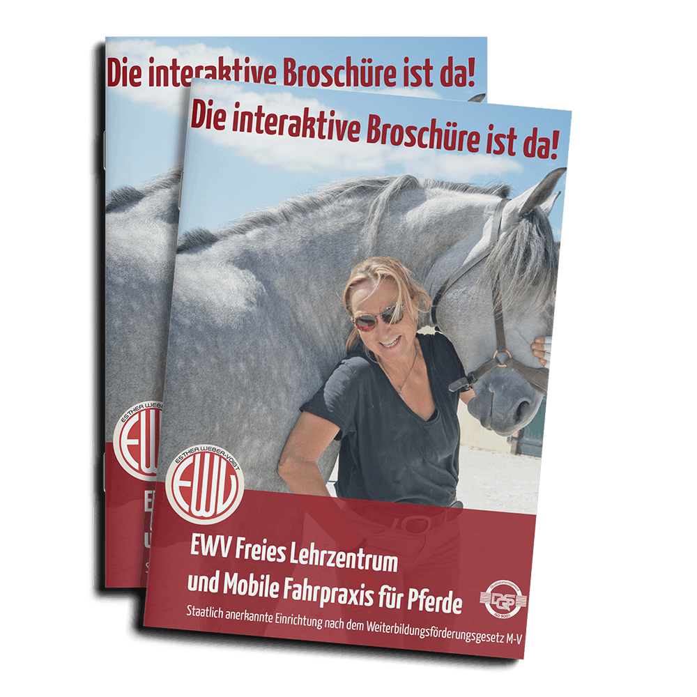 Freies-Lehrzentrum-EWV-Esther-Weber-Voigt-Team-Dozenten-CarlaAxt