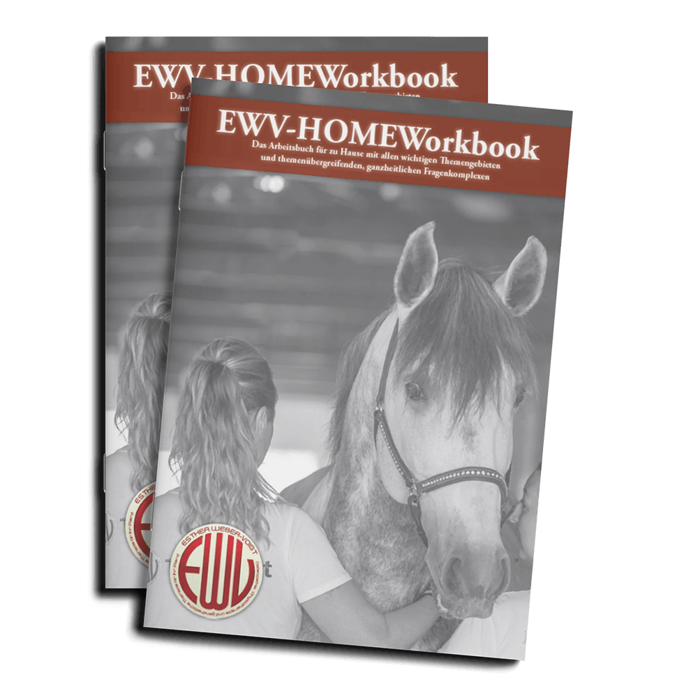 Freies-Lehrzentrum-EWV-Esther-Weber-Voigt-Experten-InesBechtel