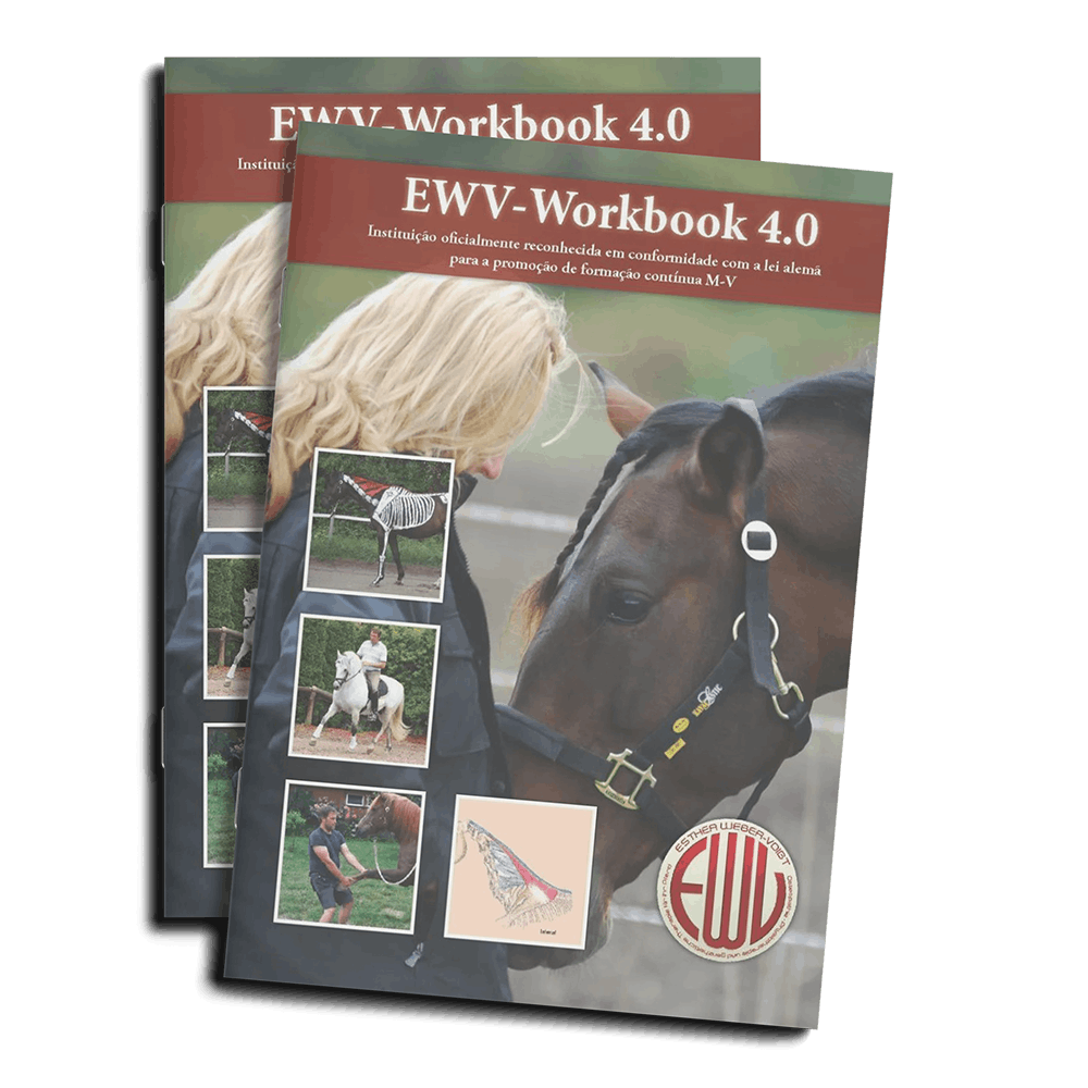 Freies-Lehrzentrum-EWV-Esther-Weber-Voigt-Team-Dozenten-CarlaAxt